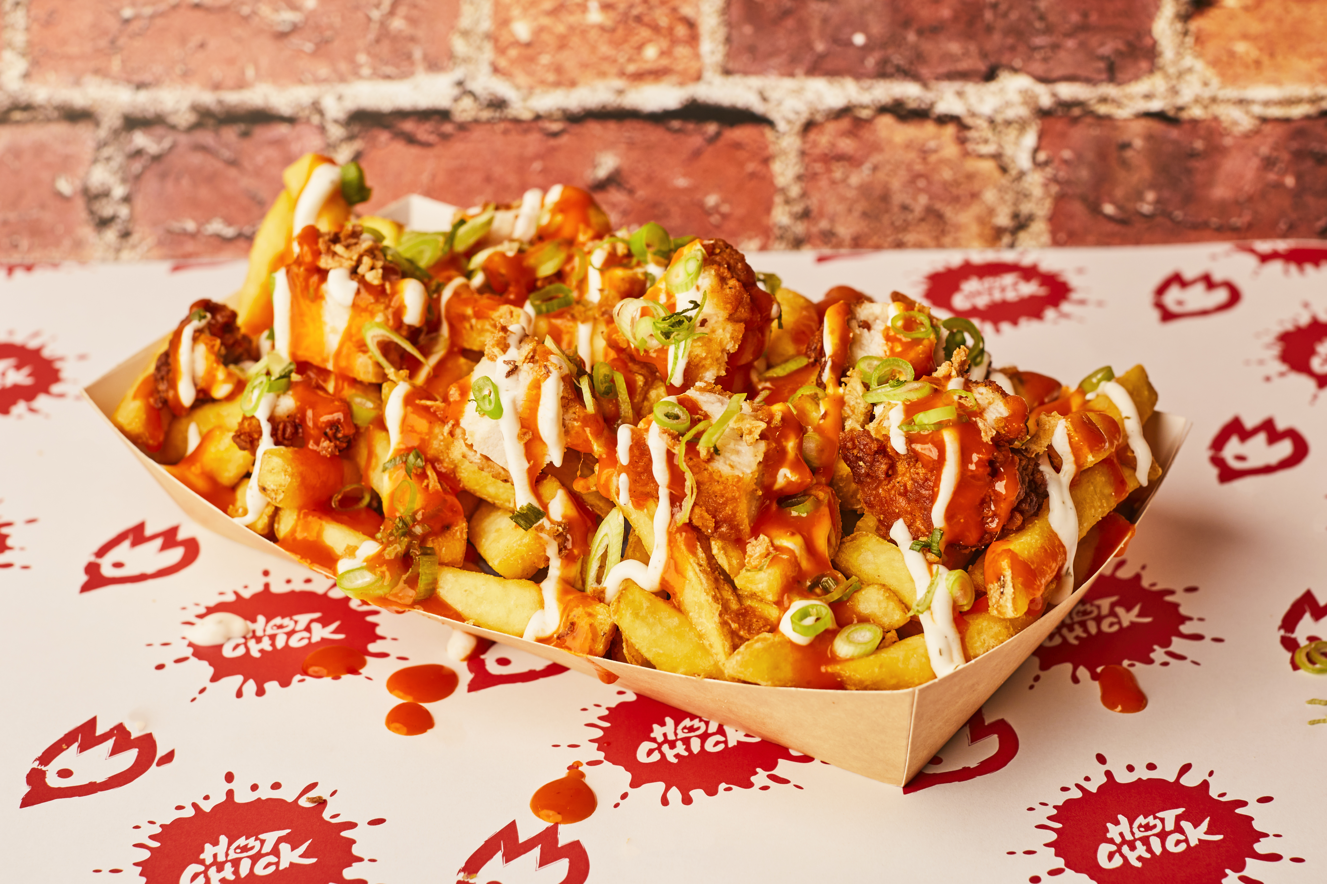 Loaded Fries